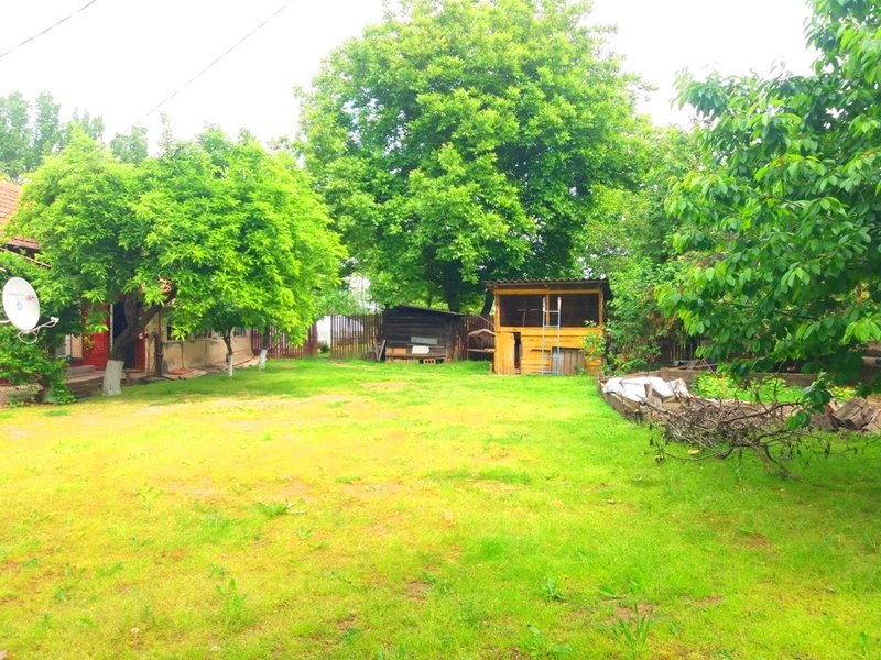 Snagov, Lipia,
