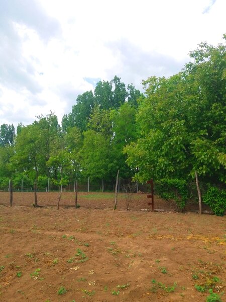 Snagov, Lipia,