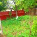 Snagov, Lipia,